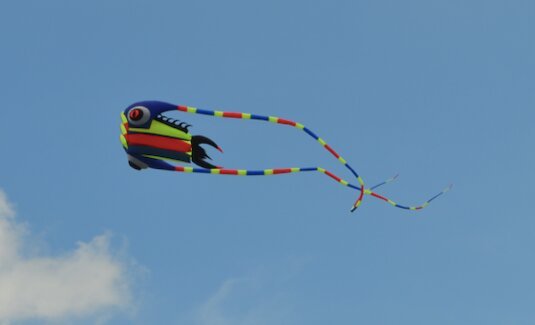 20230705-002523-phpc8uBD0.png.jpg