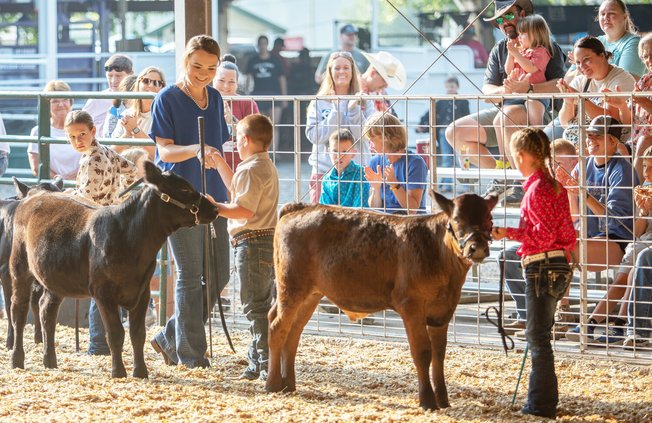 20250801-191459-edd-250802-1 Bucket calf judge.jpg
