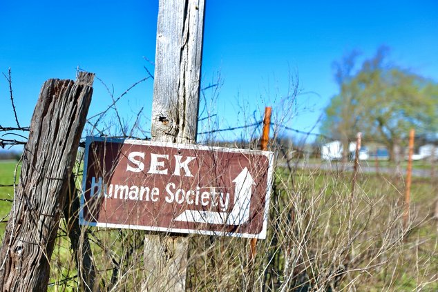 20240502-155704-240503-SEKHumane.JPG