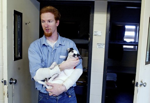 preview.jpg