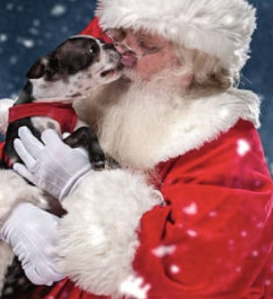 20221201-192008-221202-santapaws.png.jpg