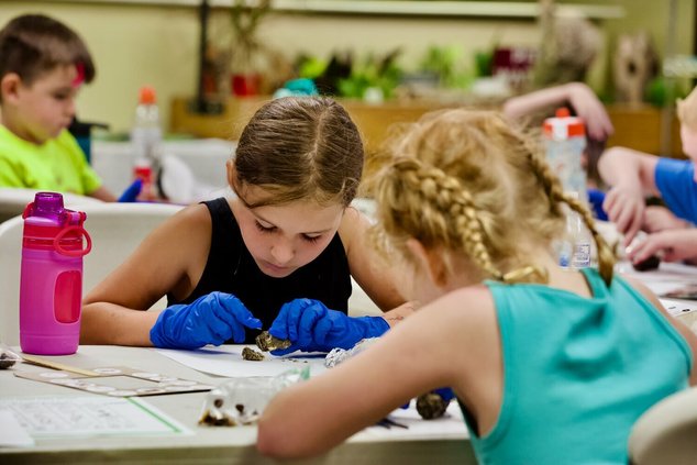 20250529-174019-170-250530-SummerCamps.jpg