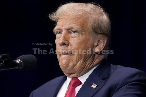 preview.jpg