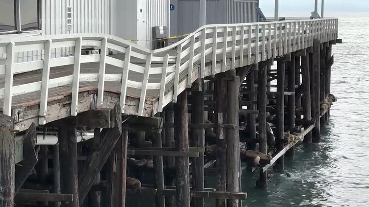 US CA PACIFIC PIER PROBLEMS 20240201cr_1920x1080.jpg