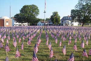 flags