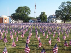 flags
