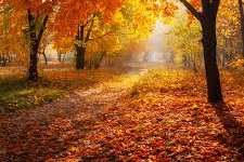 autumnleaves