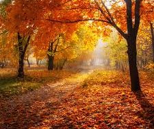 autumnleaves