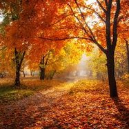 autumnleaves