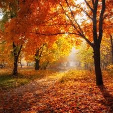 autumnleaves