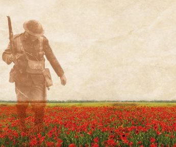 poppy field