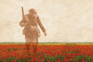 poppy field