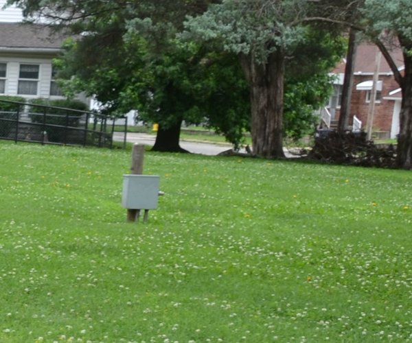 New marker and tree