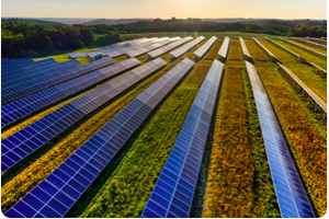 solar panels