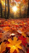 autumn leaves