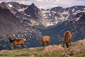 Rocky Mountains