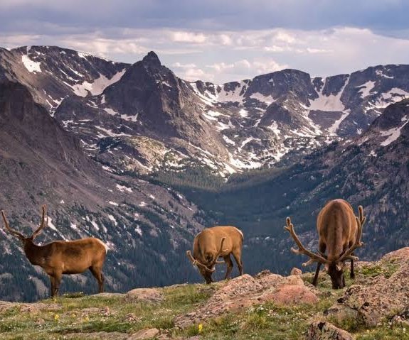 Rocky Mountains