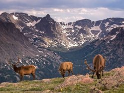Rocky Mountains