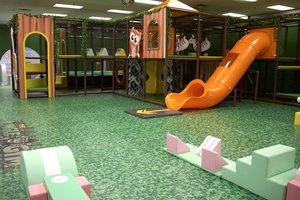 The Jungle Gym