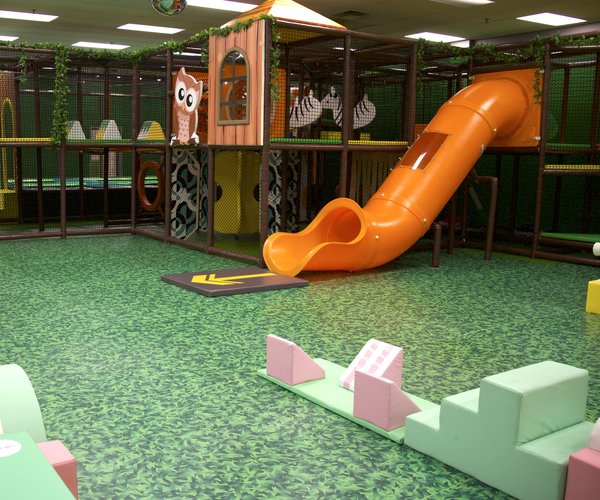 The Jungle Gym