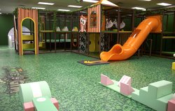 The Jungle Gym