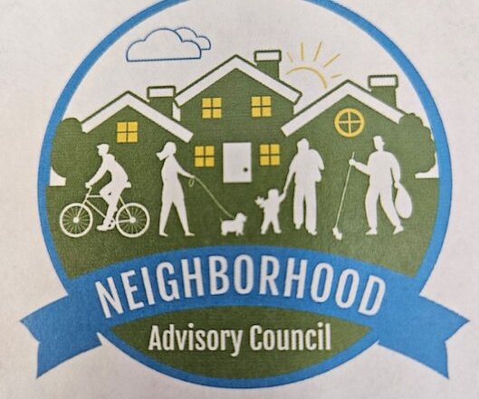 20241003-165252-daa-nac logo.png.jpg