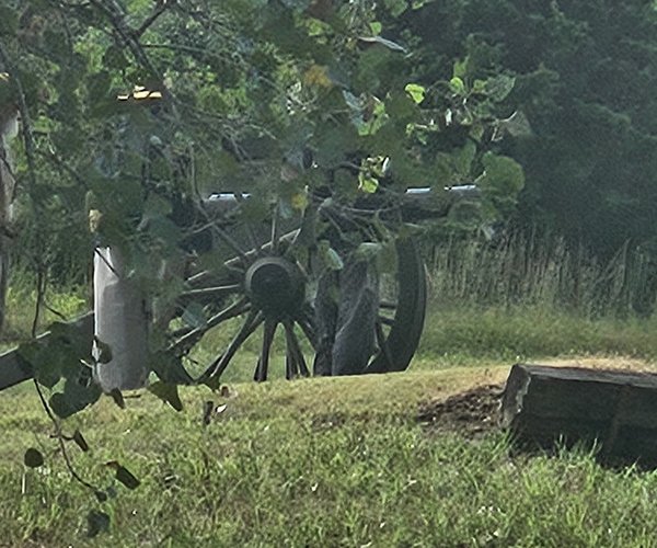 Union gun