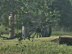 Union gun