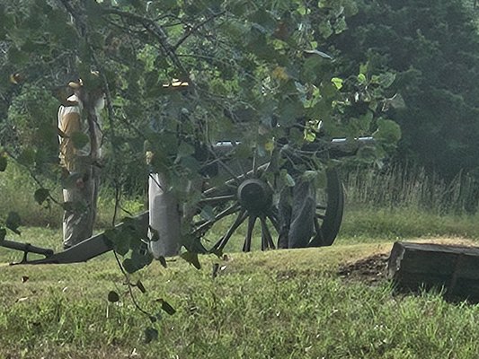 Union gun